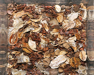 Image showing Potpourri