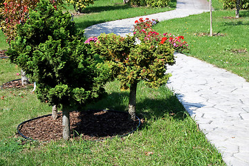 Image showing Garden detail