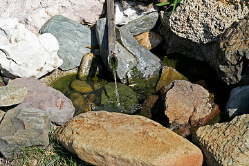 Image showing Zen spring