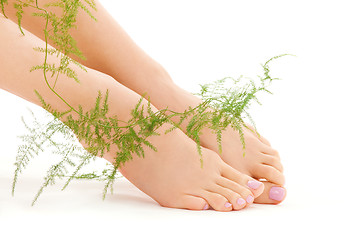 Image showing female feet with green plant