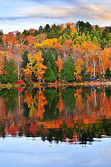 Image showing Fall forest reflections