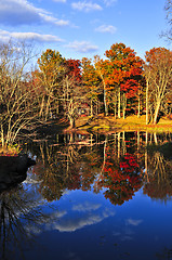 Image showing Fall forest reflections