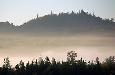 Image showing An autumn's landscape with fog