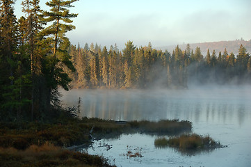 Image showing An autumn's landscape with fog