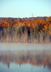 Image showing An autumn's landscape with fog