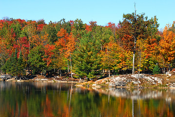 Image showing An autumn's landscape