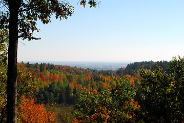 Image showing An autumn's landscape