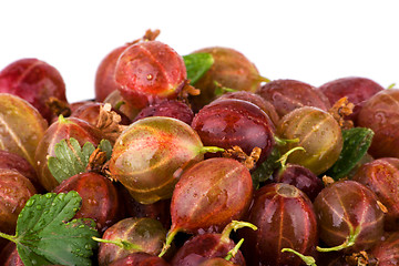 Image showing Gooseberries macro with white background
