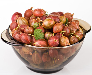 Image showing Gooseberries in bowl on light background