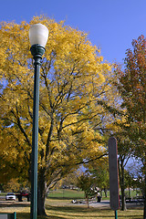 Image showing Trees and the Light Post in the Park