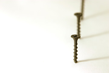 Image showing Screws in Line