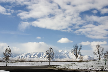 Image showing Trees, Snow and the Mountains