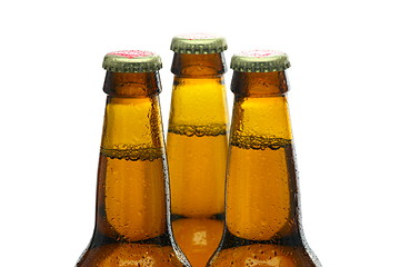 Image showing Bottles of Beer