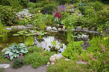 Image showing Garden pond