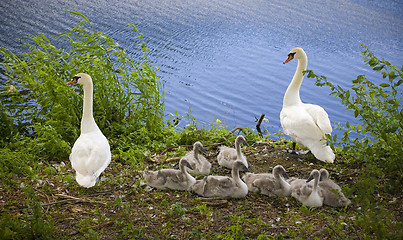 Image showing Happy family