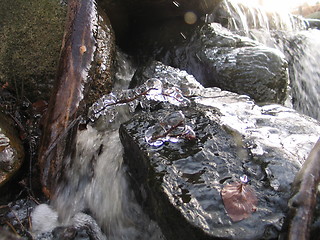 Image showing frozen winter