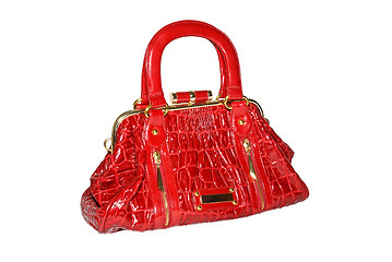 Image showing Red bag