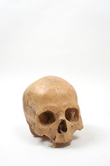 Image showing Skull isolated