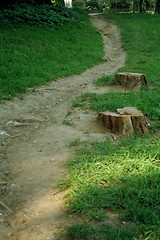 Image showing sinuous path