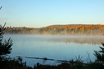 Image showing An autumn's landscape with fog