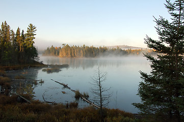 Image showing An autumn's landscape with fog