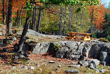 Image showing An autumn's landscape