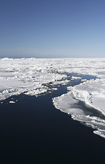 Image showing Sea ice