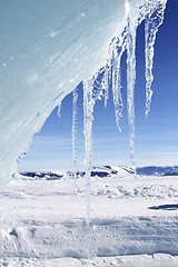 Image showing Icicles