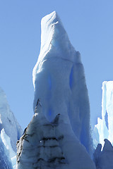 Image showing Detail of a large glacier in Sermilik Fjord, Greenland