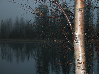 Image showing A foggy day