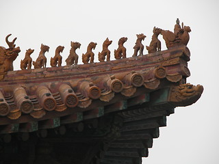 Image showing Kina detail