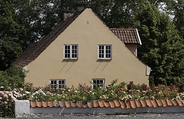 Image showing Old house with rose garden