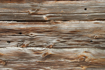 Image showing Wood background