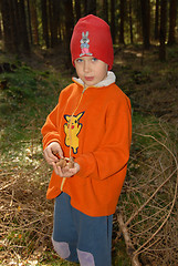 Image showing boy and mushrooms