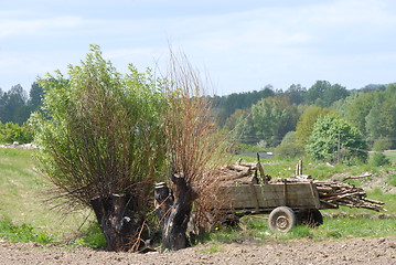 Image showing Old farm cart