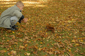 Image showing teen boy and red squirrel