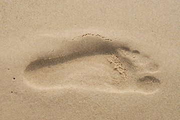 Image showing Footprint in the sand on a beach