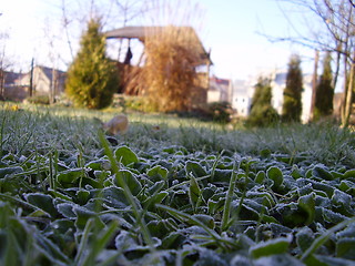 Image showing white frost on the grass 2