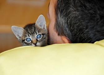 Image showing Baby cat portrait