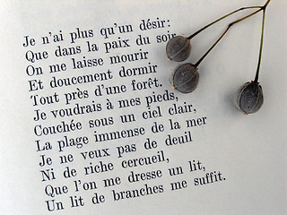 Image showing poem