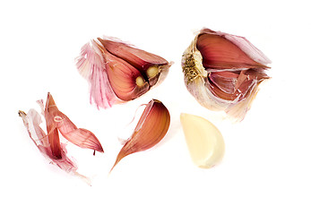 Image showing garlic