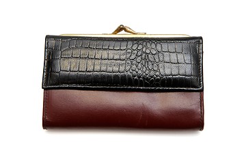 Image showing Retro woman leather purse isolated 