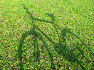 Image showing Bicycle In green 4