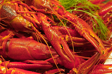 Image showing Crayfish dinner