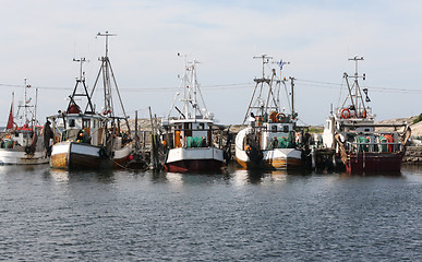 Image showing Trawlers in harbour