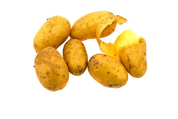 Image showing Potato fruits on a white background