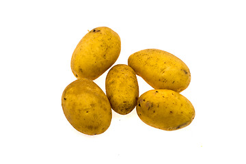 Image showing Potato fruits on a white background