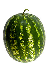 Image showing Water-melon