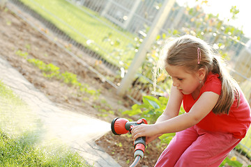 Image showing Watering