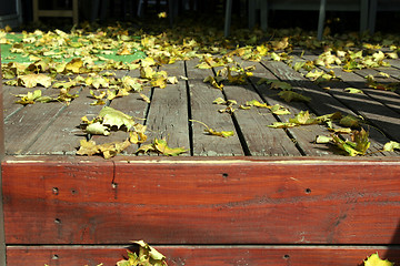 Image showing Close up on the Leaves and the Deck